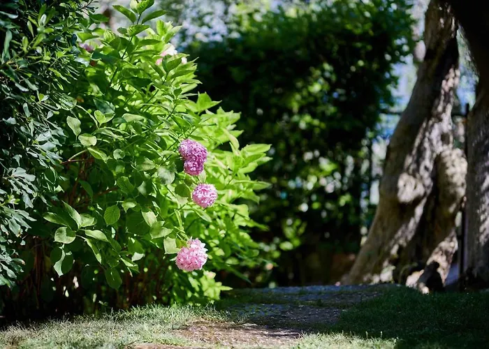 In - Gardasee 22016 Apartmán Malcesine