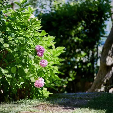 In Malcesine/gardasee 22016 Apartman Assenza di Brenzone