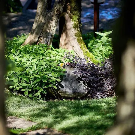 In - Gardasee 22016 Apartman Malcesine